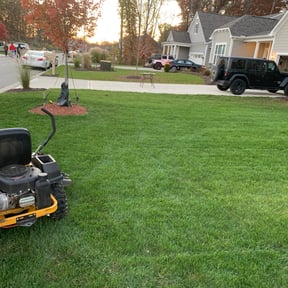 Leaf Removal by Hugheslandscaping reviewed on September 19, 2025