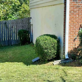 Bush Trimming by Stephen's Lawns reviewed on August 18, 2025