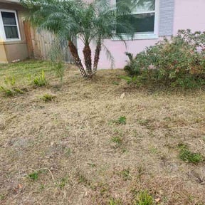 Flower Bed Weeding by G7 Enterprises LLC  reviewed on February 11, 2026