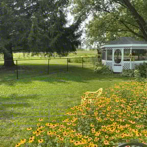 lawn maintenance by Davino Handy Services reviewed on April 29, 2024