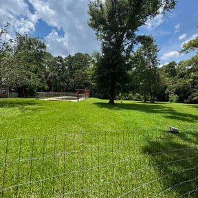 Bush Trimming by Yard Flip DC reviewed on July 7, 2026