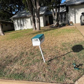 Leaf Removal by Treeple reviewed on August 21, 2025