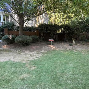 Bush Trimming by Mowtivated Lawncare reviewed on August 19, 2025