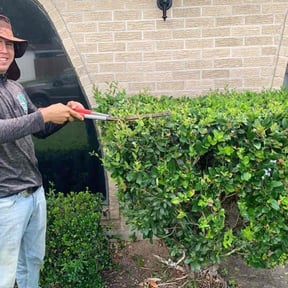 Bush Trimming by JTP Lawn Care, LLC reviewed on August 17, 2025