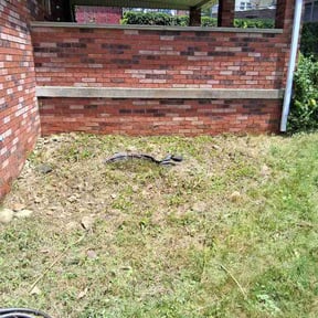 Flower Bed Weeding by Prowell's Lawn Care reviewed on June 22, 2026