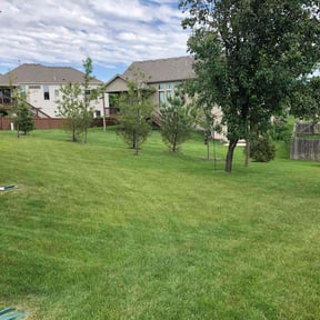 landscaping by Silva lawn care reviewed on November 24, 2025