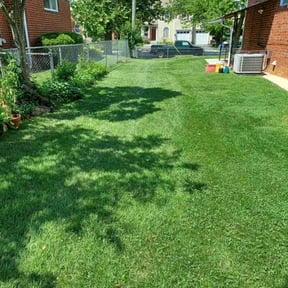 landscape maintenance by Texas standard home service reviewed on August 16, 2025