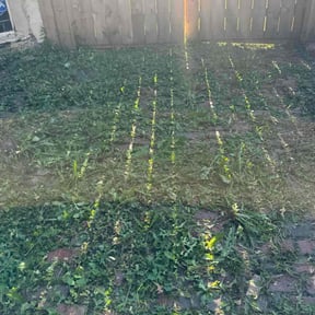 Flower Bed Weeding by Joshua&#039;s landscaping reviewed on November 21, 2025