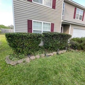 Bush Trimming by A Cut Above Lawn & Landscaping reviewed on August 16, 2025
