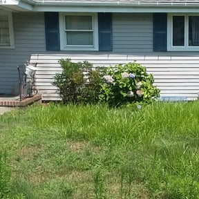 Bush Trimming by Imperial Lawn Care reviewed on August 19, 2025