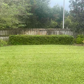 Bush Trimming by Capital City  Services reviewed on October 24, 2025