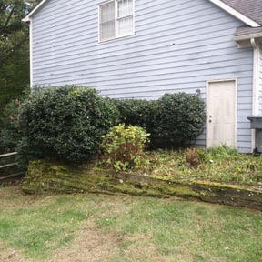 Bush Trimming by EV Great Valley Landscaping,LLC. reviewed on August 19, 2025