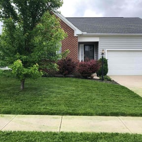 yard care by A Gaines lawncare & landscaping LLC reviewed on August 19, 2025