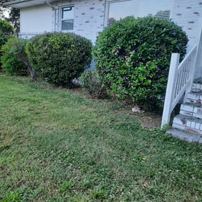 Bush Trimming by JG Lawn Care reviewed on August 18, 2025