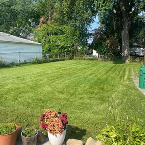 yard care by Suffer Correct Seasonal Care reviewed on August 18, 2025