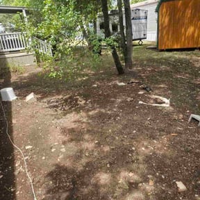 Leaf Removal by impressive touch lawn care &amp; Services reviewed on September 14, 2025