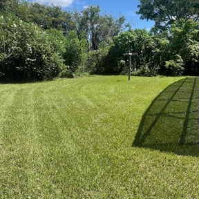 gardening service by You need a cut reviewed on August 14, 2025