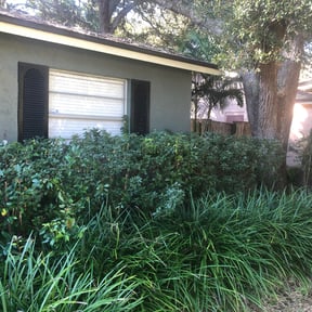 Bush Trimming by FBE SERVICES LLC reviewed on August 21, 2025
