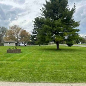 Bush Trimming by Mowing on reviewed on May 23, 2022