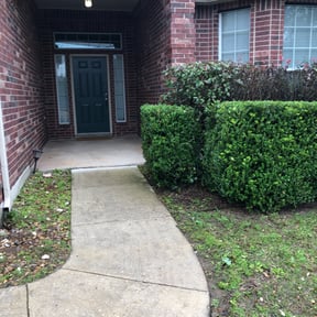 Bush Trimming by Lawn Busters LLC reviewed on August 17, 2025