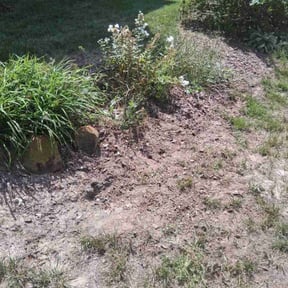 Flower Bed Weeding by St Pete Land and Lawn reviewed on January 3, 2026