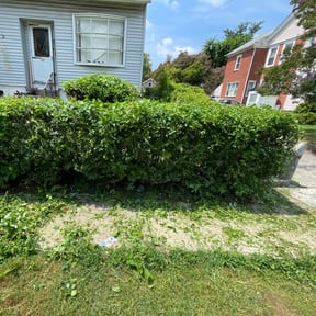 Bush Trimming by Brooks lawn care reviewed on August 19, 2025