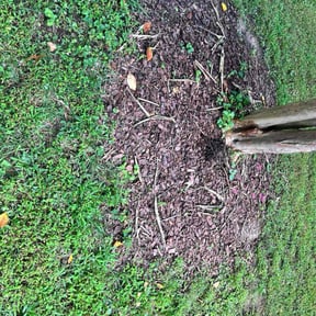 Flower Bed Weeding by Guerrero&#039;s Lawn Service reviewed on November 21, 2025