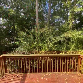 Bush Trimming by Calkins property management reviewed on October 21, 2025