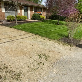 yard service by B and M Murillo Gardening Service reviewed on November 21, 2025