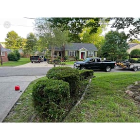 Bush Trimming by MY Landscaping &amp; Lawn Care  reviewed on November 30, 2023