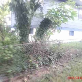 Bush Trimming by A+ Lamonds lawn&landscape reviewed on August 19, 2025
