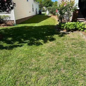 turf maintenance by Mow Pro's Lawn Tree Service reviewed on April 12, 2024