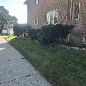 Bush Trimming by J &amp; F Landscaping LLC reviewed on October 22, 2025