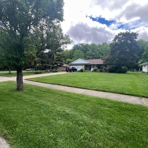 yard maintenance by Triple S Cuts & Cleanouts reviewed on August 15, 2025