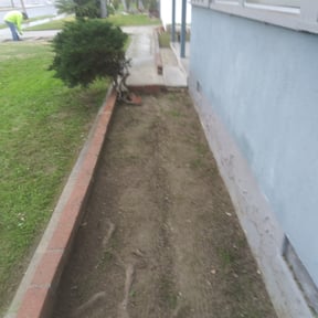 Flower Bed Weeding by Rubie's Lawn Care Services reviewed on August 18, 2025