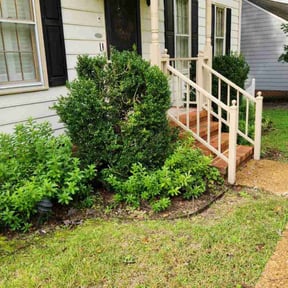 Flower Bed Weeding by Rise Lawn Care reviewed on November 22, 2025