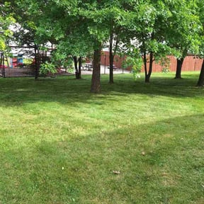 residential landscaping by Rjm reviewed on August 19, 2025