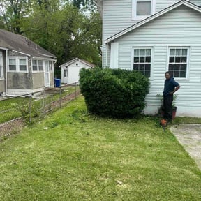 Bush Trimming by All Trim Lawn Services, Inc. reviewed on August 19, 2025