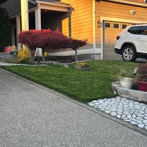 Lawn Seeding by Clear landscapes llc reviewed on August 16, 2025