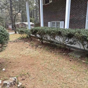 Bush Trimming by CCHS reviewed on April 1, 2026