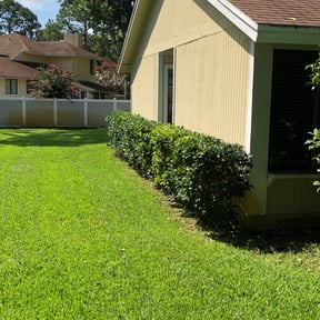 Bush Trimming by Twiggs Complete Lawn reviewed on August 20, 2025