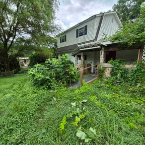 Bush Trimming by Davenport Landscaping reviewed on August 15, 2025