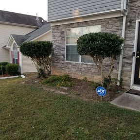 Bush Trimming by C&T Landscaping reviewed on August 18, 2025