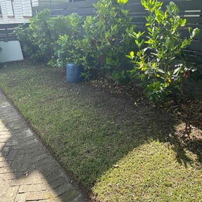 Bush Trimming by Alternative Lawn Care reviewed on August 18, 2025