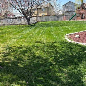 gardening service by Johnson landscaping reviewed on August 19, 2025