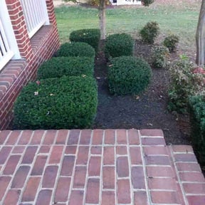 Bush Trimming by Green Horizon Lawn Care reviewed on November 23, 2025