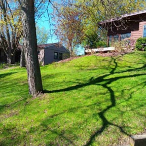 landscape maintenance by Just us landscaping LLC reviewed on November 23, 2025