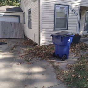 Bush Trimming by NMH Renovations&landscaping LLC reviewed on August 19, 2025