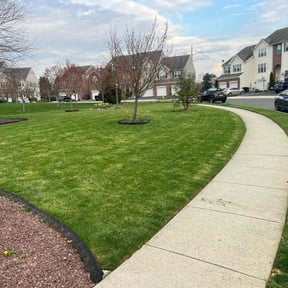 yard care by PNJ Landscaping reviewed on August 18, 2025