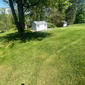 lawn care services by Mieozzies Lawn Services LLC reviewed on May 26, 2025